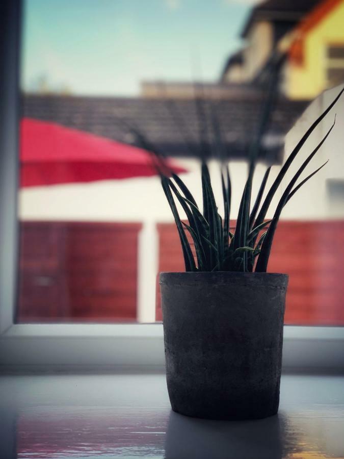 Paul'S Place Near Heathrow Londra Dış mekan fotoğraf